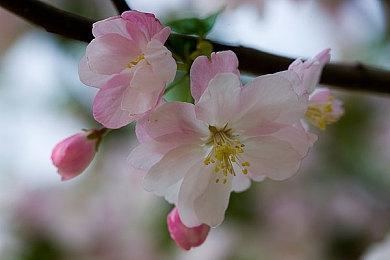 EA 2007年衍生作《MySims》或即将登陆Switch平台